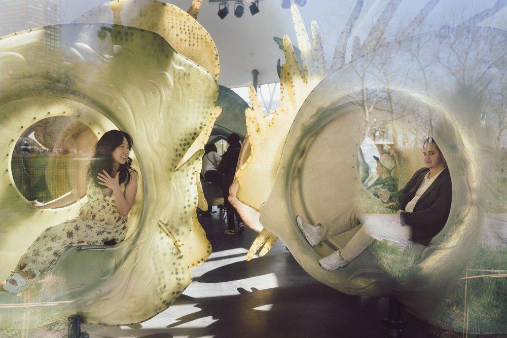 recomment-pack-image-2