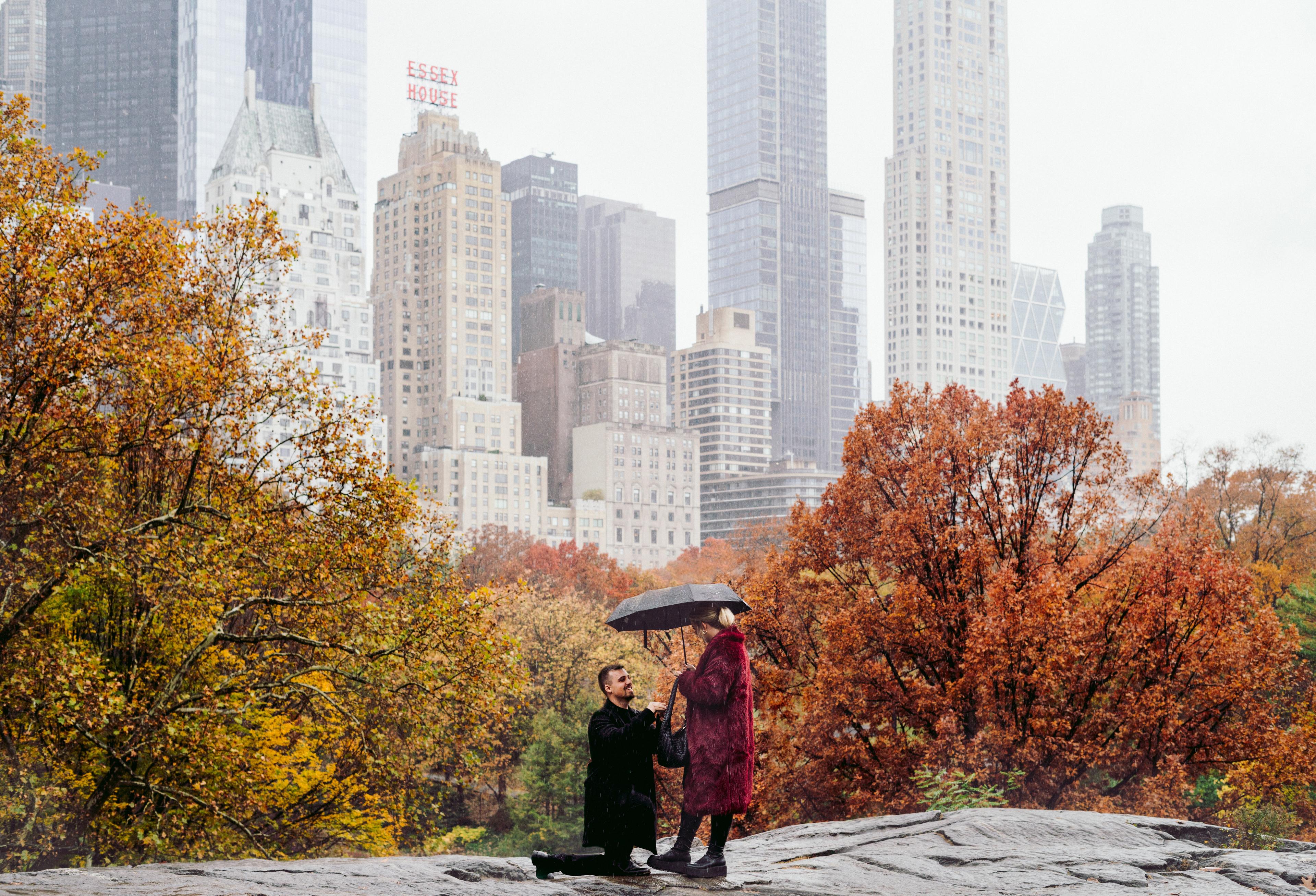 Secret Proposal Locations and Tips in New York City