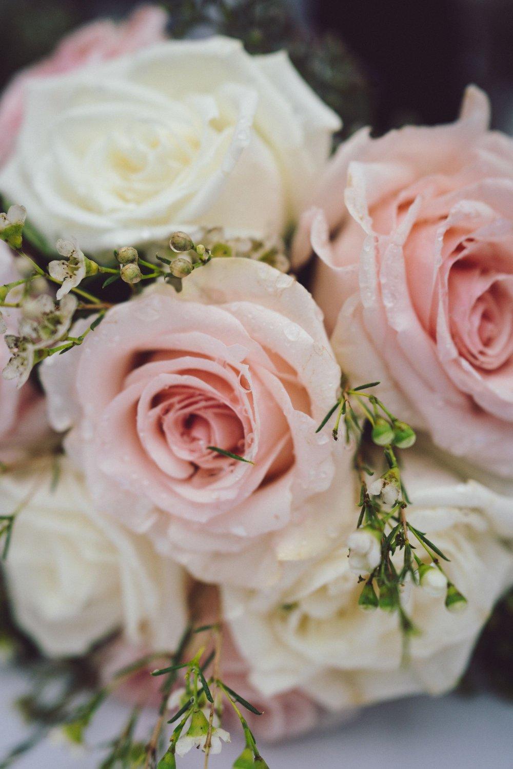 carousel-hero-element image-11